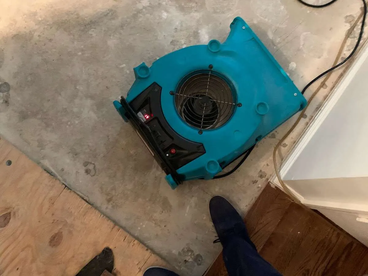 Air mover drying subfloor during Leak Detection & Repair in Snoqualmie